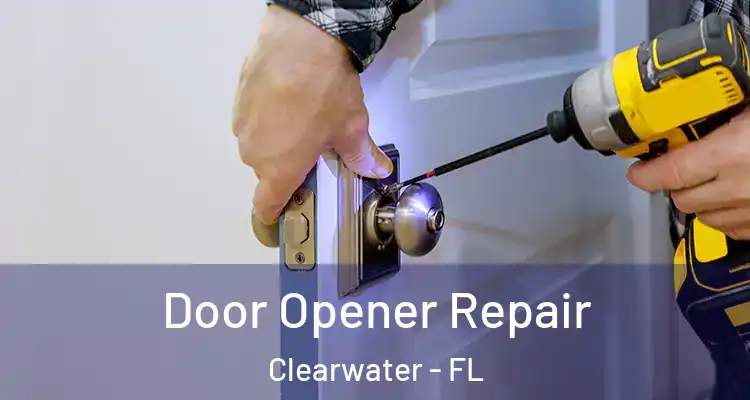  Door Opener Repair Clearwater - FL