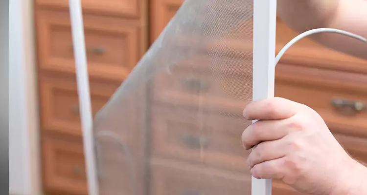 Privacy Mesh Screen Door Installation in Clearwater, FL