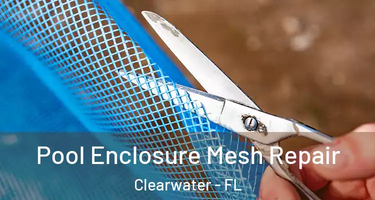  Pool Enclosure Mesh Repair Clearwater - FL