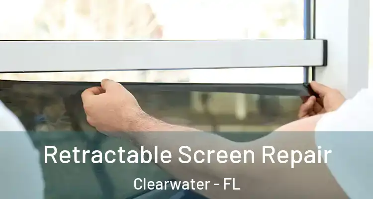  Retractable Screen Repair Clearwater - FL