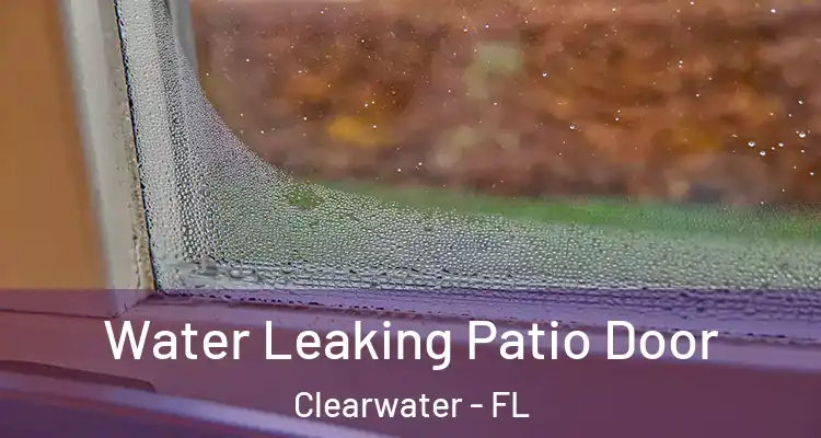  Water Leaking Patio Door Clearwater - FL
